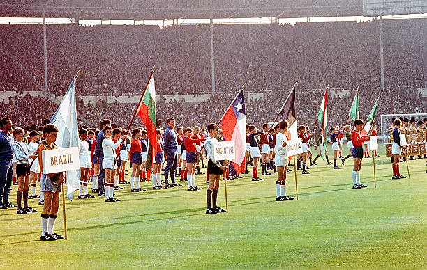 是阿莫林体 是阿莫林体